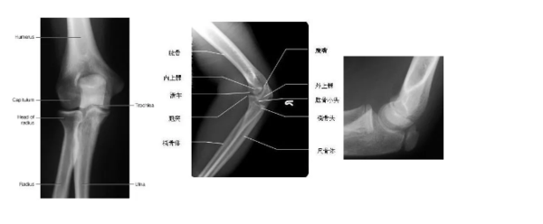 1617864238(1).png